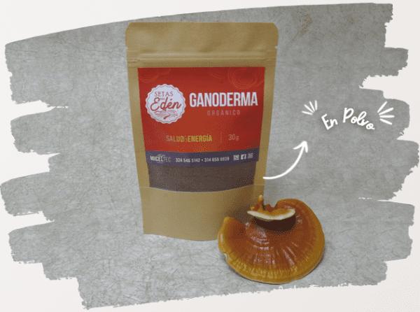 ganoderma