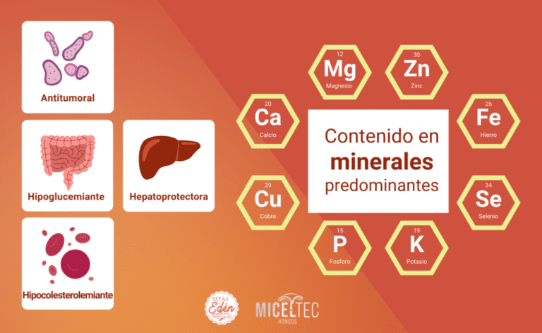 Ganoderma