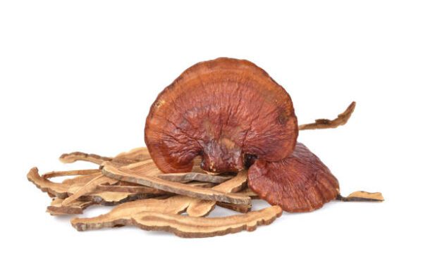 Ganoderma (Reishi) Deshidratado